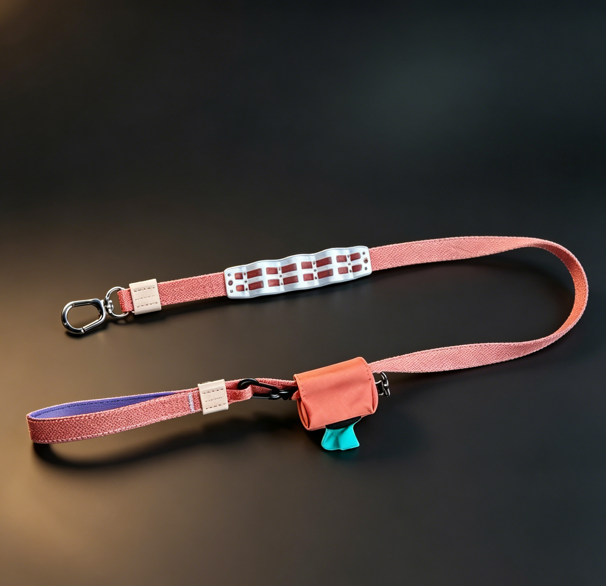 Dog Leash