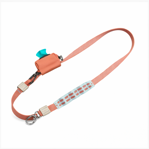 Dog Leash